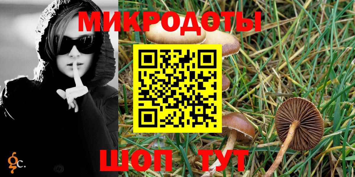 Рассказово  Галлюциногенные грибы мицелий  Псилоцибиновые грибы прущие грибы  Вход с VPN 
