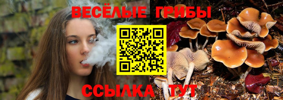 Псилоцибиновые грибы MAGIC MUSHROOMS Рассказово